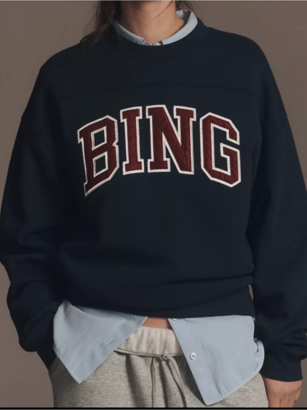 Anine Bing | Sweatshirt | Anine Bing Trenton Sweatshirt - Picture 10 of 10